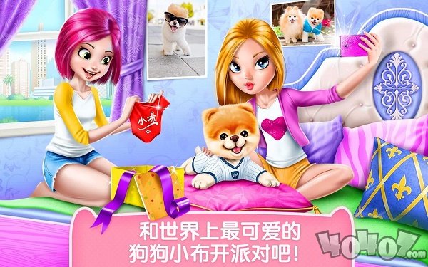可可公主宠物小布