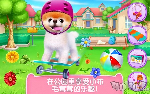 可可公主宠物小布