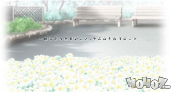 水仙