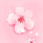 桃花短视频
