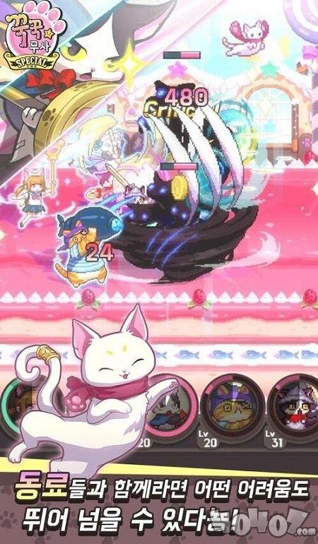 猫咪武士
