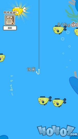 喵喵水族箱
