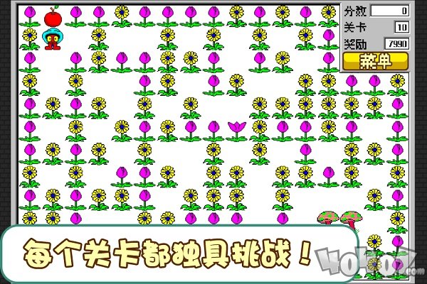 经典食人花