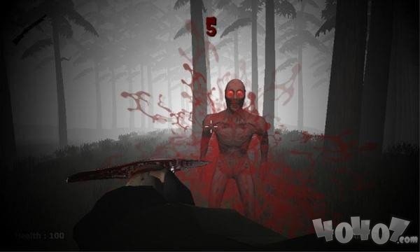 被诅咒的神秘森林