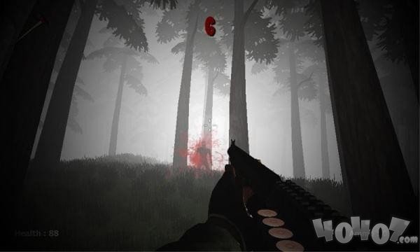 被诅咒的神秘森林