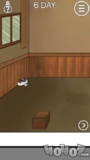 我的猫咪找不见了