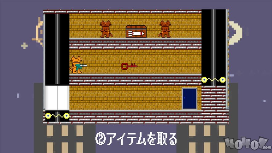 猫咪行动