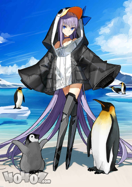 FGO泳装莉莉丝测评 确认这只企鹅不是从其他游戏来的吗？