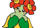 《宝可梦剑盾》伽勒尔全精灵图鉴 美丽花