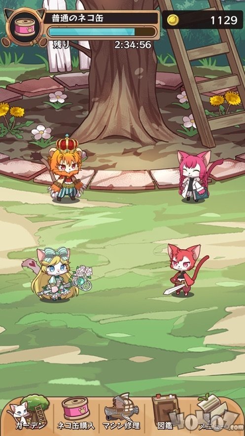 猫迷