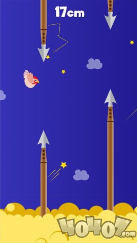 飞行小鸡