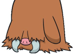 《宝可梦剑盾》伽勒尔全精灵图鉴 长毛猪