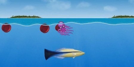 章鱼吃垃圾变大截图