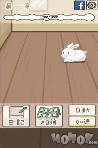家有兔酱