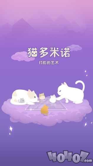 抖音打脸猫