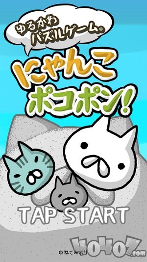 喵喵圆滚滚