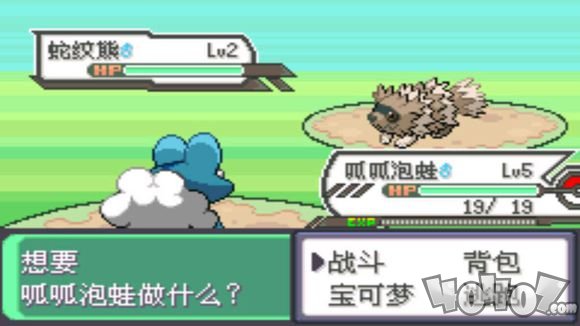 口袋妖怪：究极绿宝石