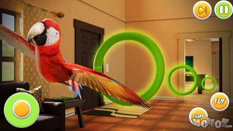 鹦鹉模拟器：宠物世界