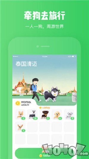 旅行世界养犬分红