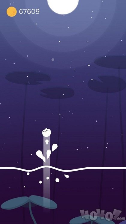 月下青蛙