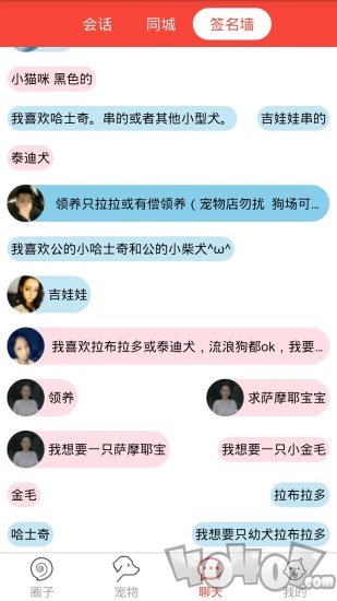 领狗狗