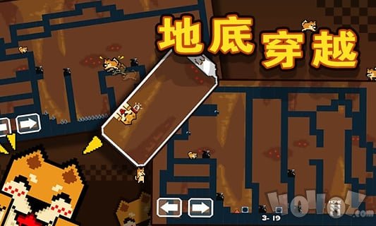 谜之狗