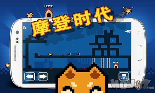 谜之狗