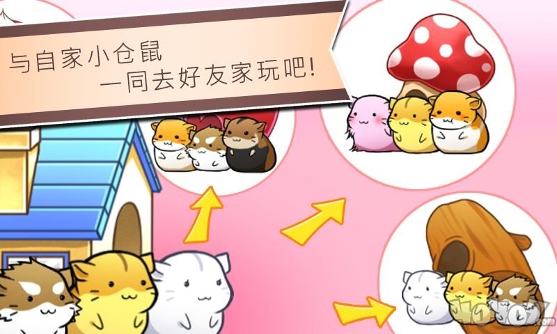 仓鼠的日常生活