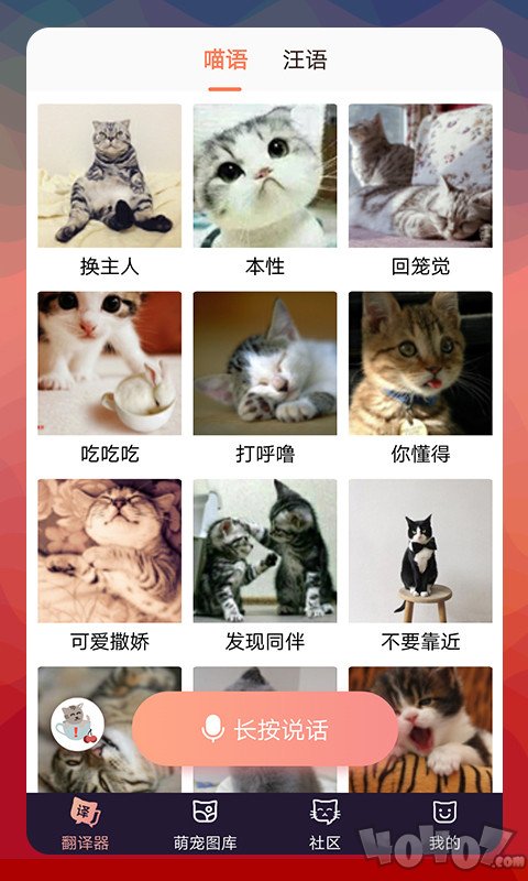 猫语翻译器