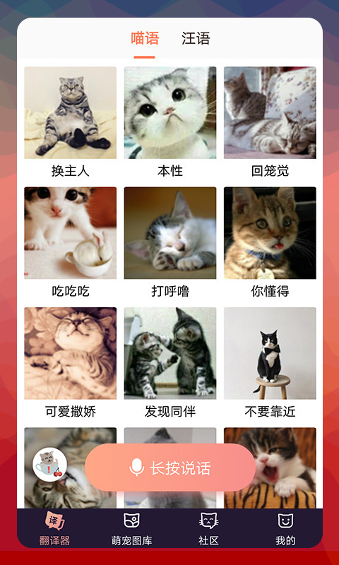 猫语翻译器截图