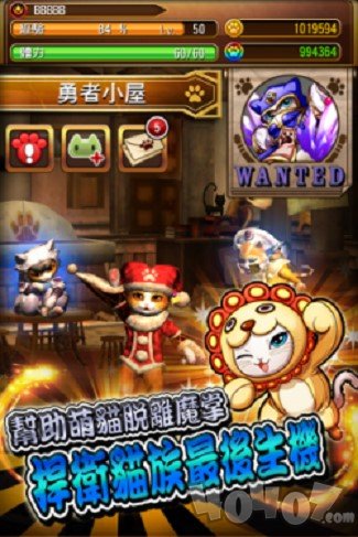 萌猫大作战