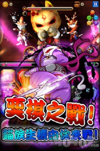 萌猫大作战
