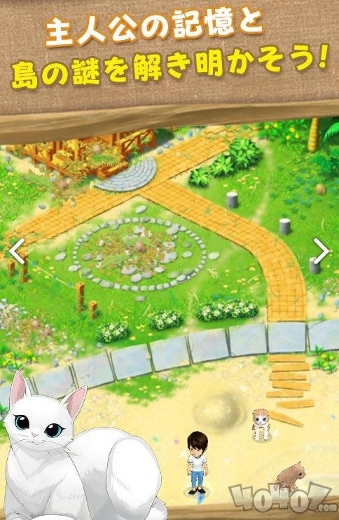 猫岛日记
