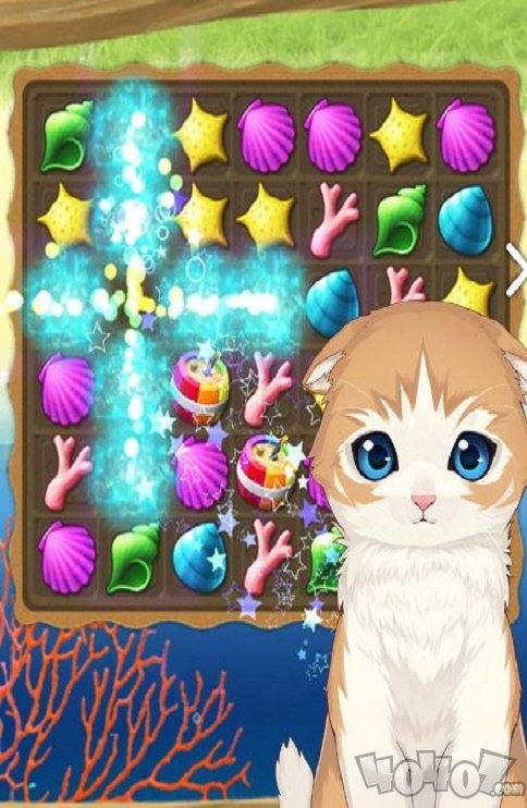 猫岛日记