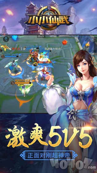 小小仙武