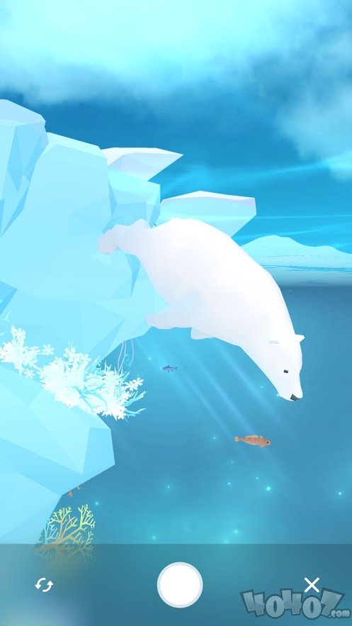 深海水族馆极地