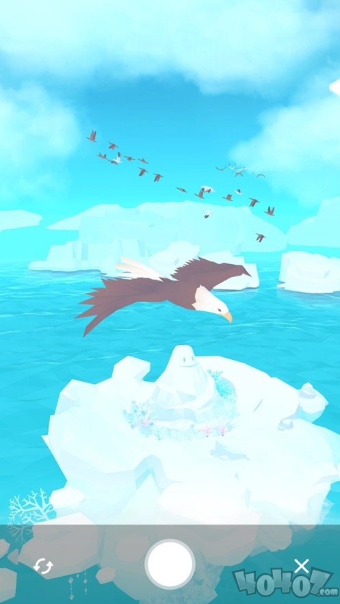 深海水族馆极地