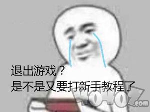 退出游戏