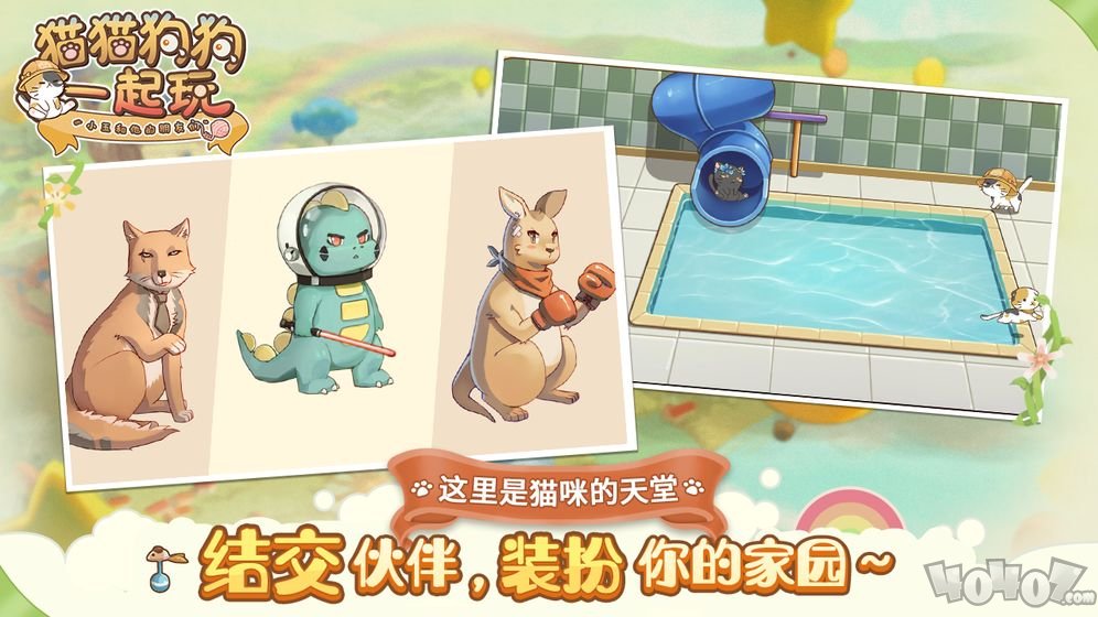 猫猫狗狗一起玩