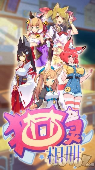 猫灵相册
