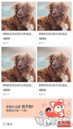 校狐