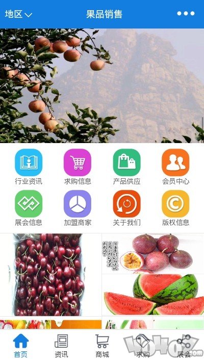 果品销售