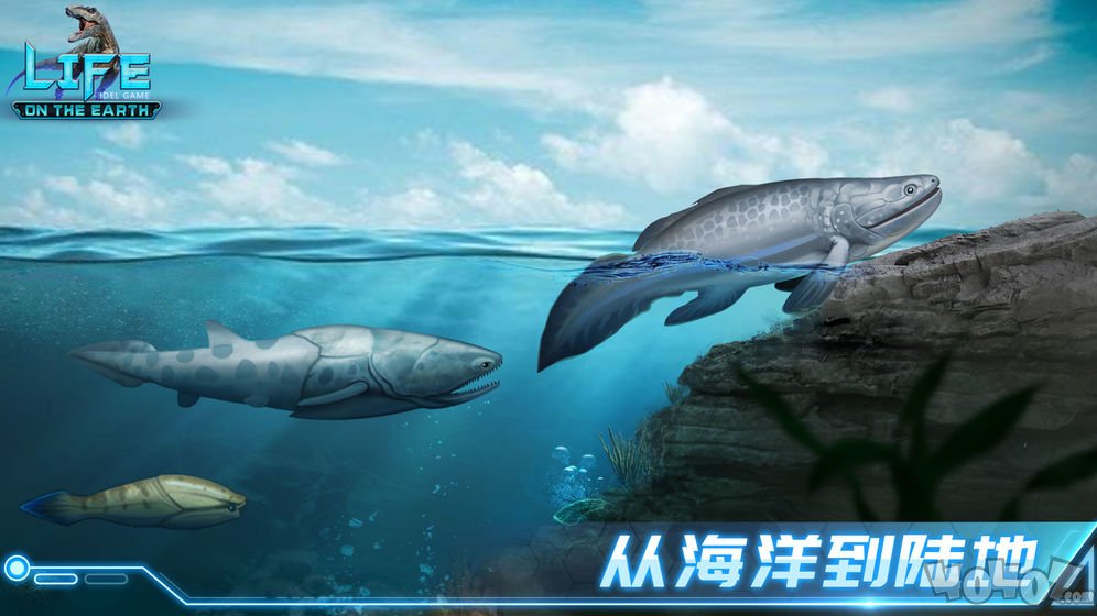 生命简史古生物放置