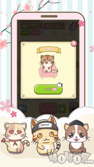开心猫猫乐