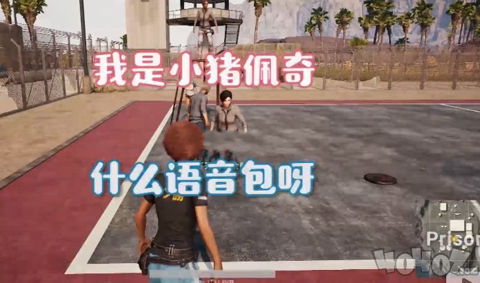 吃鸡语音包