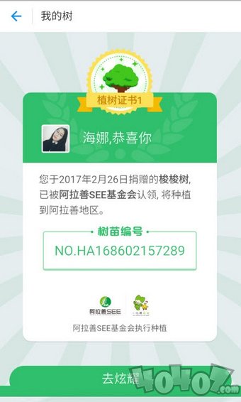 蚂蚁森林辅助