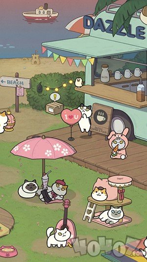 神秘猫咪字典