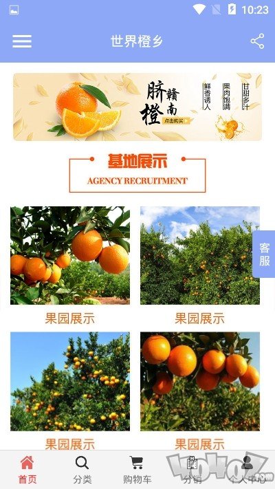 世界橙乡