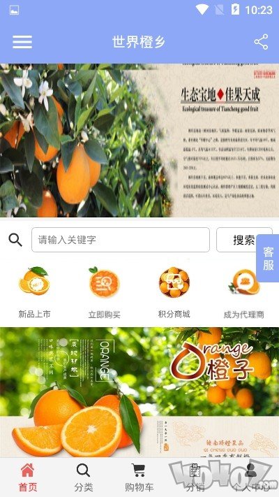 世界橙乡