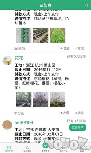 苗如意